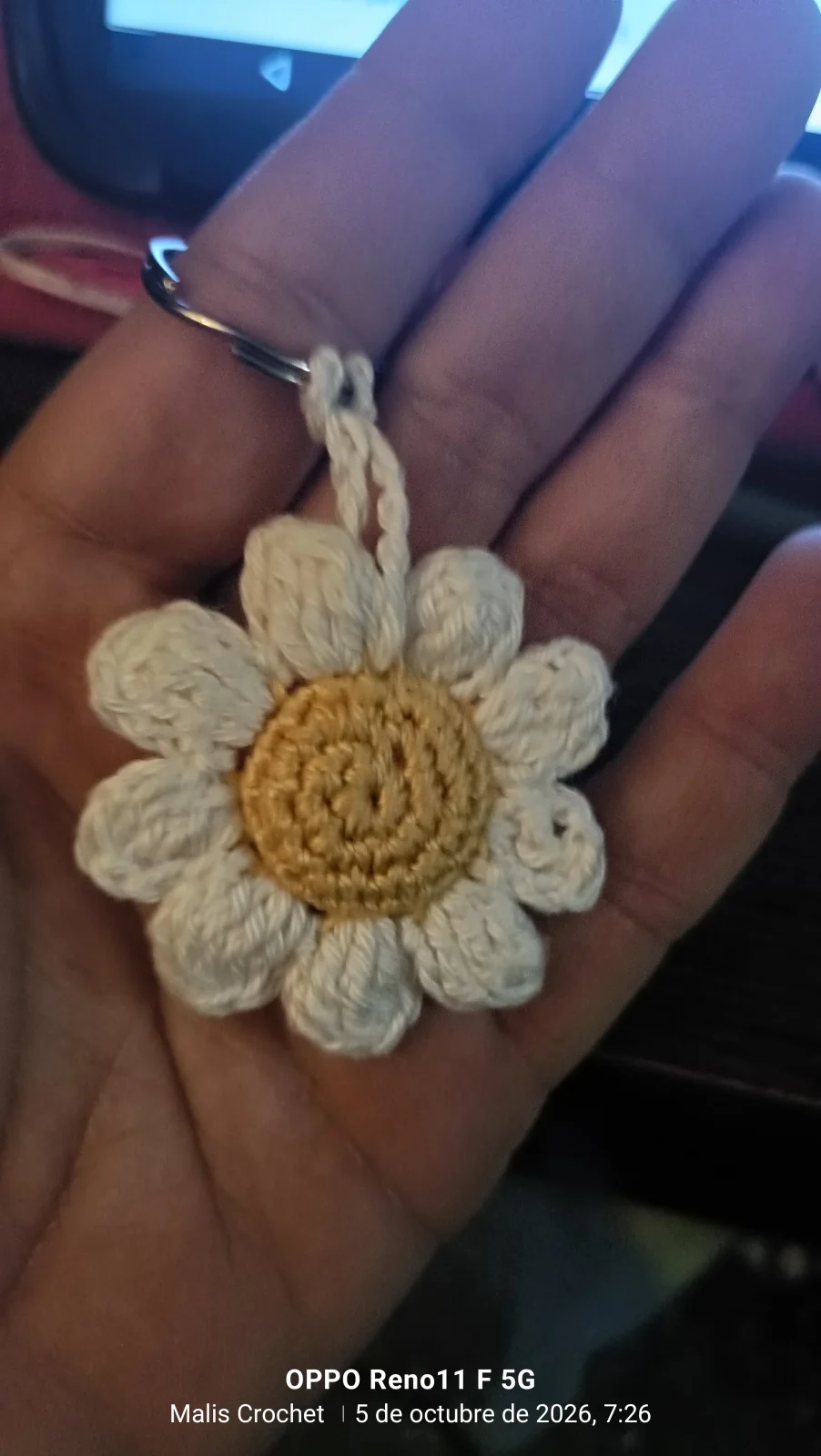 Proyecto tejido por María Magdalena Soler Llabrés